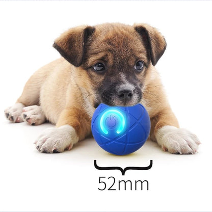 Auto‑Bouncing Smart Pet Ball with Remote Control